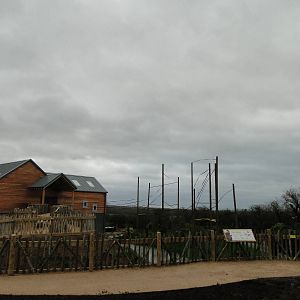 Gibbon Forest Tuesday 22nd December 2015 - 15 of 16