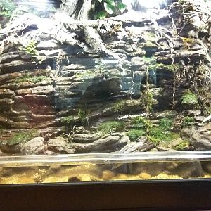 Reptile Discovery Center - Jewels of the Appalachia