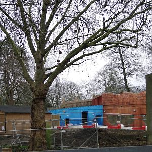 Land of the Lions Sunday 27th December 2015 - 1 of 25