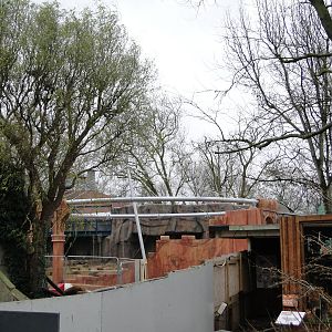 Land of the Lions Sunday 27th December 2015 - 2 of 25