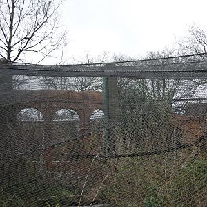 Land of the Lions Sunday 27th December 2015 - 3 of 25