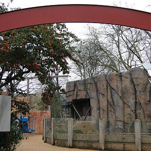 Land of the Lions Sunday 27th December 2015 - 4 of 25