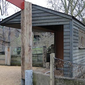 Land of the Lions Sunday 27th December 2015 - 5 of 25