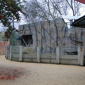 Land of the Lions Sunday 27th December 2015 - 6 of 25