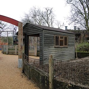 Land of the Lions Sunday 27th December 2015 - 7 of 25