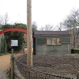 Land of the Lions Sunday 27th December 2015 - 8 of 25