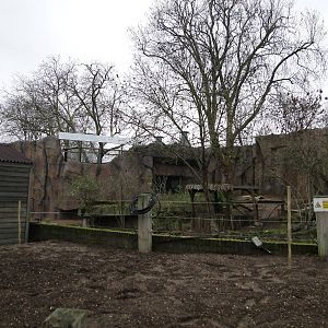 Land of the Lions Sunday 27th December 2015 - 9 of 25