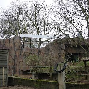 Land of the Lions Sunday 27th December 2015 - 10 of 25