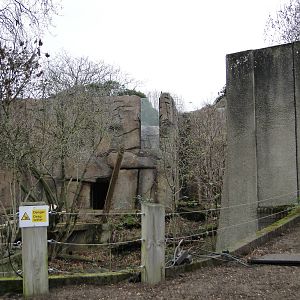 Land of the Lions Sunday 27th December 2015 - 11 of 25