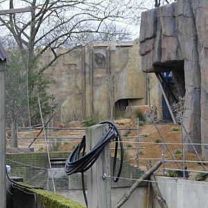 Land of the Lions Sunday 27th December 2015 - 12 of 25