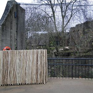 Land of the Lions Sunday 27th December 2015 - 13 of 25