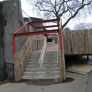 Land of the Lions Sunday 27th December 2015 - 14 of 25