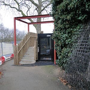 Land of the Lions Sunday 27th December 2015 - 15 of 25