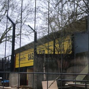 Land of the Lions Sunday 27th December 2015 - 16 of 25