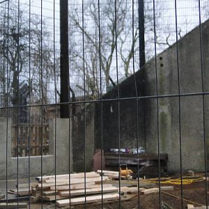 Land of the Lions Sunday 27th December 2015 - 17 of 25