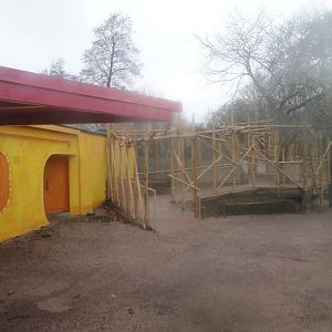 Land of the Lions Sunday 27th December 2015 - 20 of 25