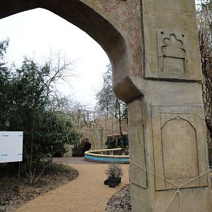 Land of the Lions Sunday 27th December 2015 - 21 of 25