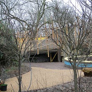 Land of the Lions Sunday 27th December 2015 - 22 of 25