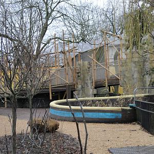 Land of the Lions Sunday 27th December 2015 - 23 of 25