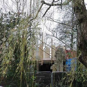 Land of the Lions Sunday 27th December 2015 - 24 of 25