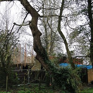 Land of the Lions Sunday 27th December 2015 - 25 of 25