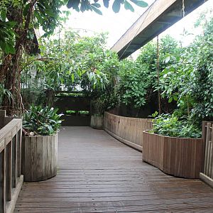 Africa House - Bridge over crocodile exhibits