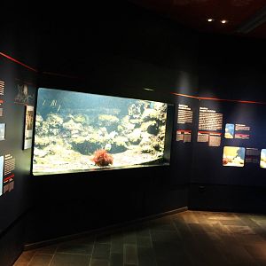 Biochron - Aquarium overview