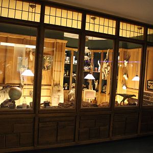 Biochron - Darwin's cabinet display