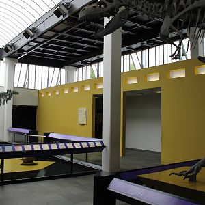 Biochron - Mesozo?c room