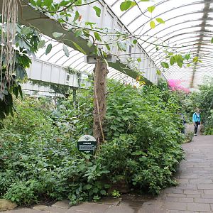 Biochron - Tropical butterfly house