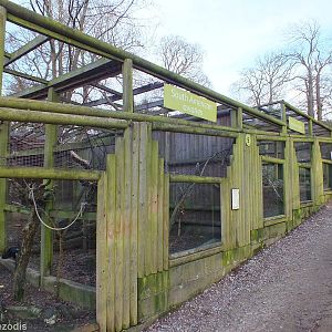 'South American' Aviary and Burrowing Owl Aviary