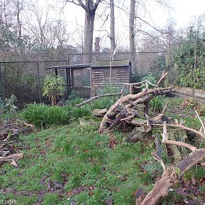 Part of the Very nice Azara's Agouti Enclosure