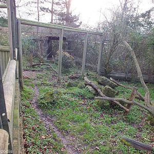 Part of the Very nice Azara's Agouti Enclosure
