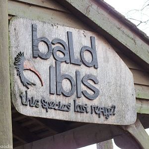 Sign for the Bald Ibis Aviary
