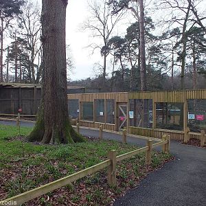 Owl Aviaries