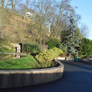 Area around flamingo pool