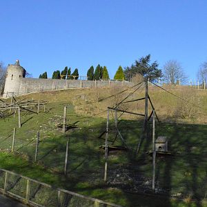 Extended Gelada enclosure