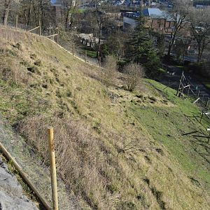 Extended Gelada enclosure