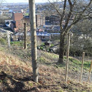 Work on new hillside enclosure