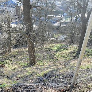 Work on new hillside enclosure