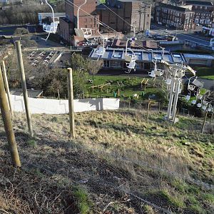 Work on new hillside enclosure