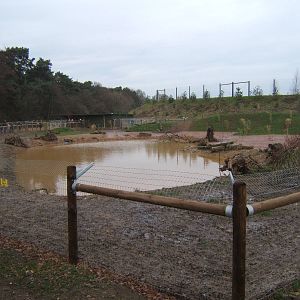 View of the Giant Otter enclosure