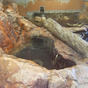 I have seen bigger fish ponds in peoples back gardens than these pools for