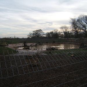 View of the Giant Otter enclosure