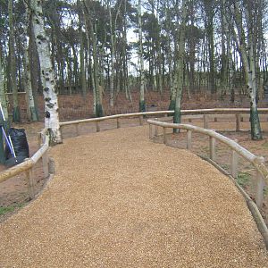A now fenced off path round the Wallaby walk through!!