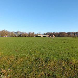 White Rhino Paddock in the Sun
