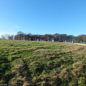 Kudu and Impala Paddock