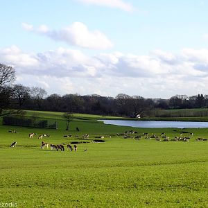 View in Passage Through Asia