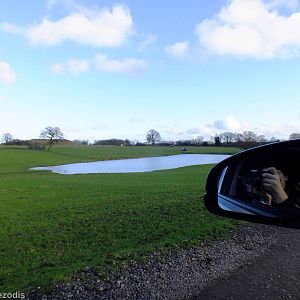 View in Passage Through Asia