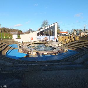 Sealion Splash Arena